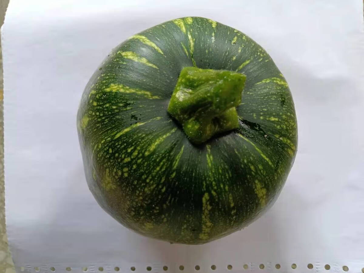 小南瓜嫩南瓜农家菜自种时令当季蔬菜批发现摘绿色皮净重3斤嫩南瓜