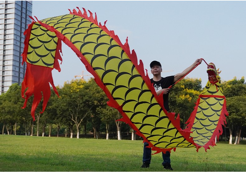 甩龙带龙头彩龙儿童舞龙彩带健身布龙道具耍龙中老年广场舞手龙舞双面