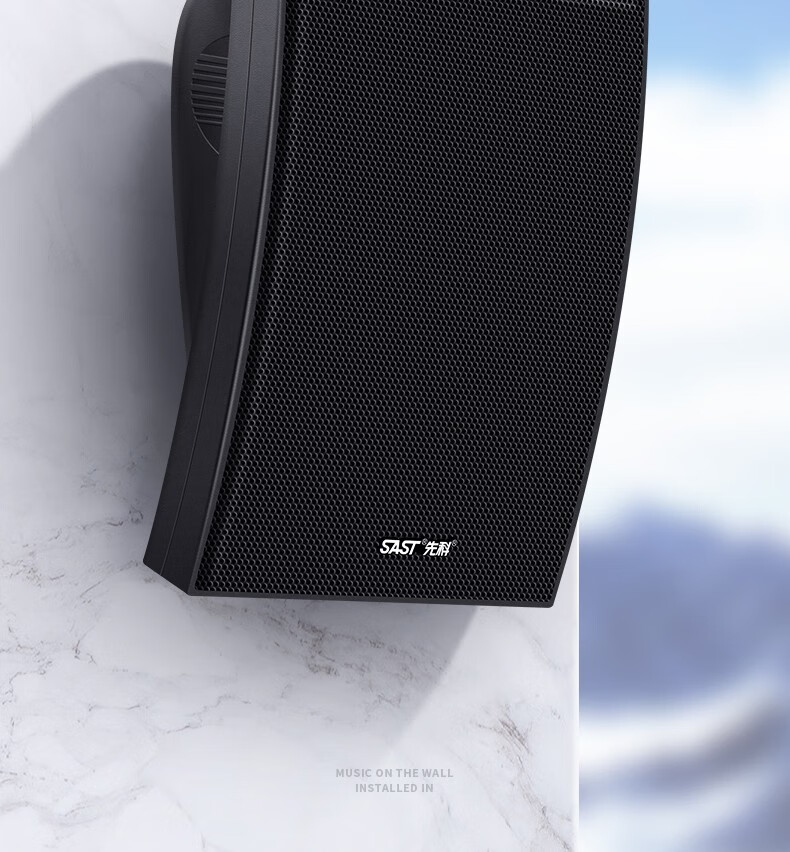 先科壁挂音响音箱店铺用餐厅悬挂墙挂壁式室内无线蓝牙专用功放套装