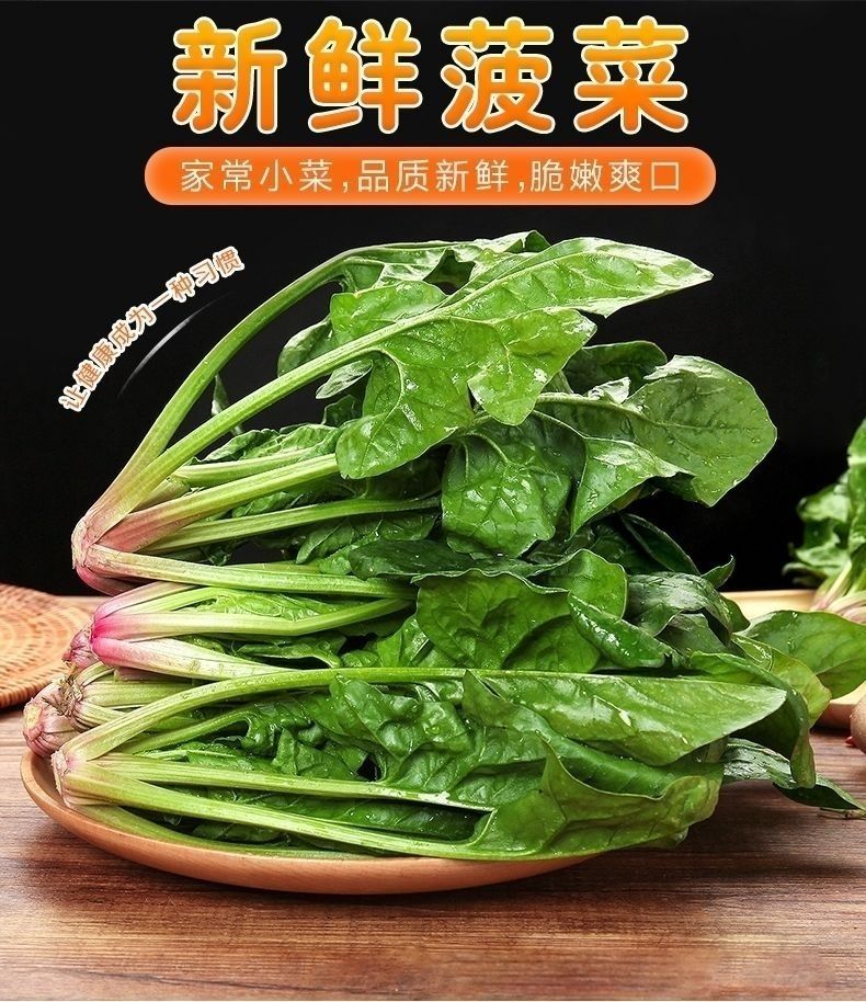 现摘红根菠菜矮杆菠菜农家自种小菠菜火锅蔬菜新鲜蔬菜批发5斤新鲜