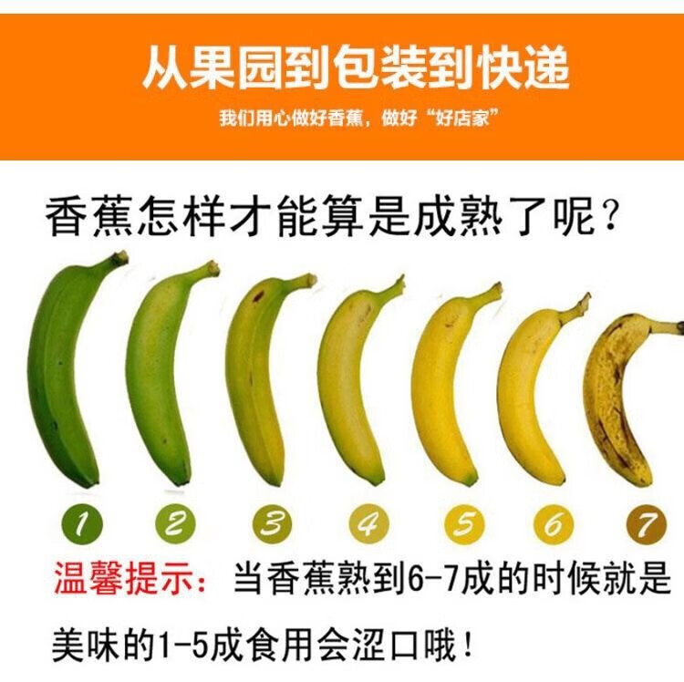10斤188云南高山大香蕉当季新鲜水果薄皮自然熟3510斤一整箱批发大果