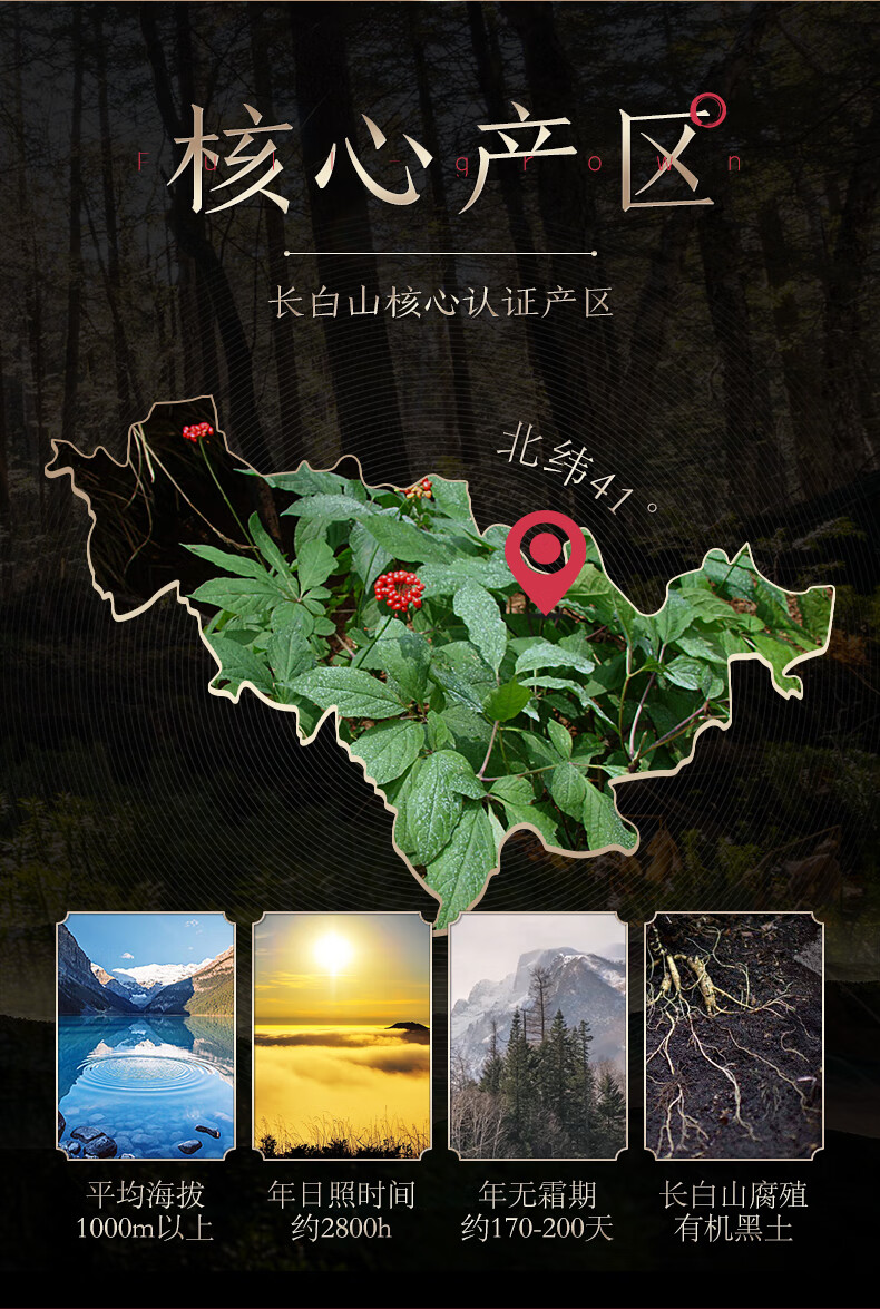 长白山人参西洋参切片含片煲汤泡水即食泡茶花旗参东洋参大片1618cm西