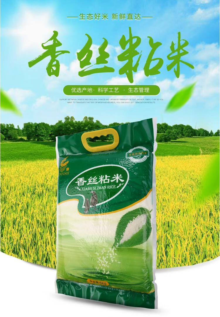 牌香丝粘米细长优质广东丝苗米大米5kg10斤新米真空装煲仔饭