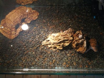 黑工砂龟缸造景沙水族装饰底沙乌龟石头鱼缸石子鳌虾沙 11斤 铁胆 