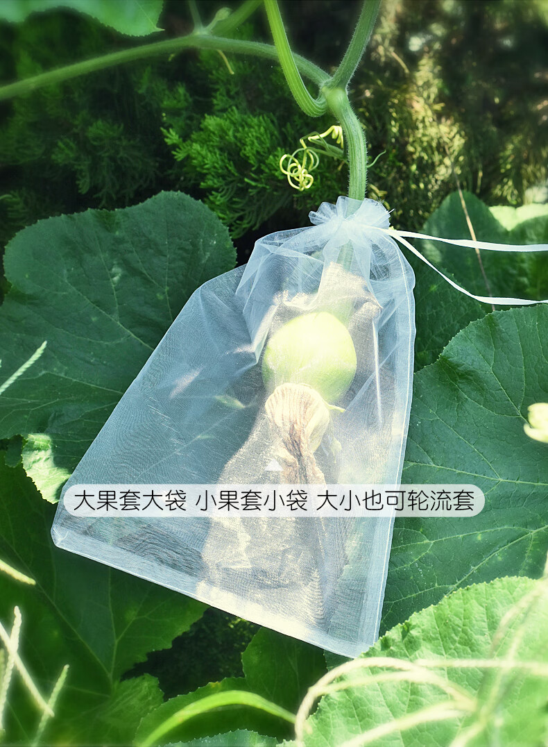 水果套袋果树防鸟防虫专用纱网袋葡萄无花果番石榴保护蜜柚子袋子 12x