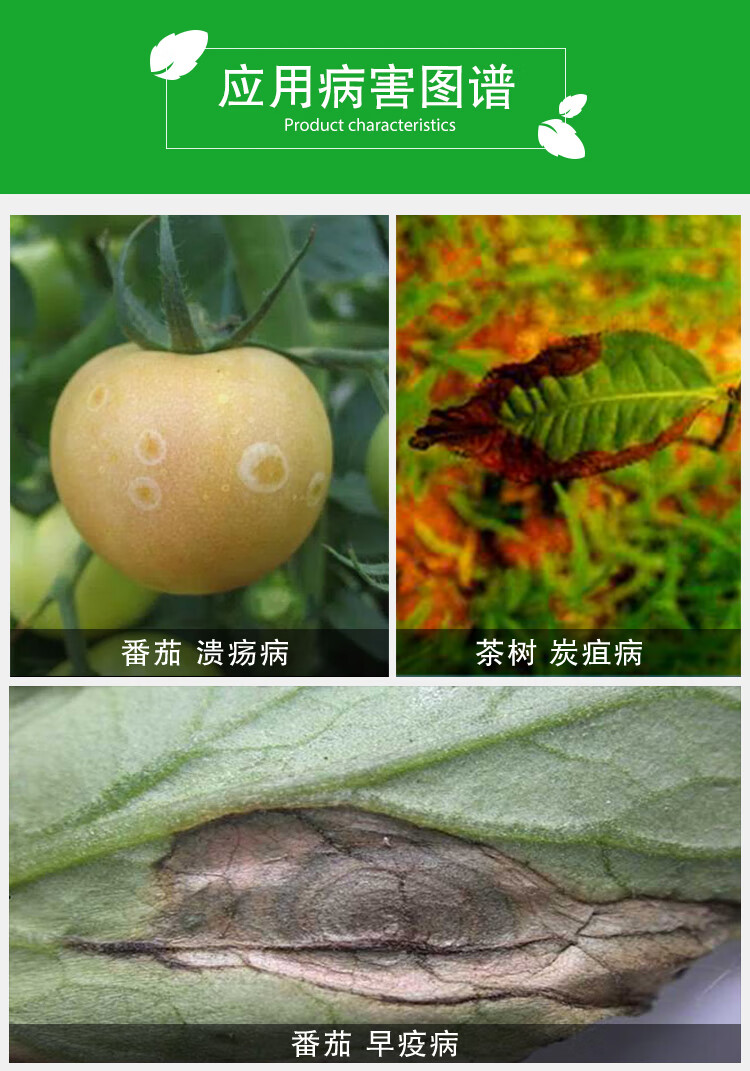 杜邦可杀得3000三千氢氧化铜溃疡病疮痂角斑病农药杀菌剂进口100克