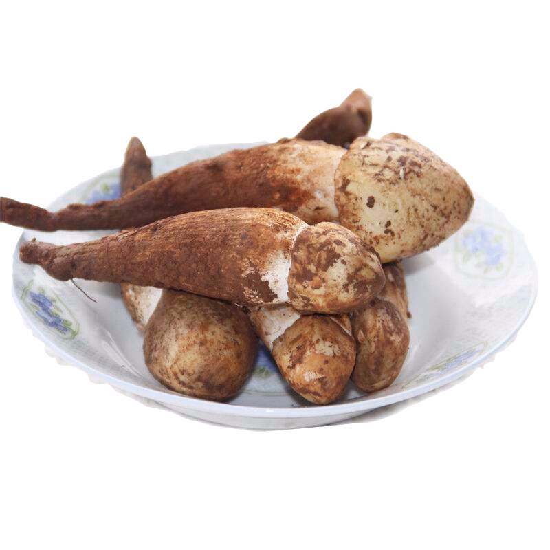 现货菌新鲜独鸡枞大鸡枞菌500g食用两份火把牛肝菌大鸡枞独自生长的