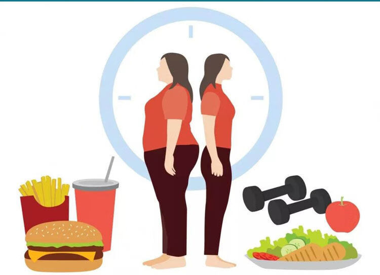 伟博调理增胖复合益生菌咀嚼片增肥增胖瘦人增重快速