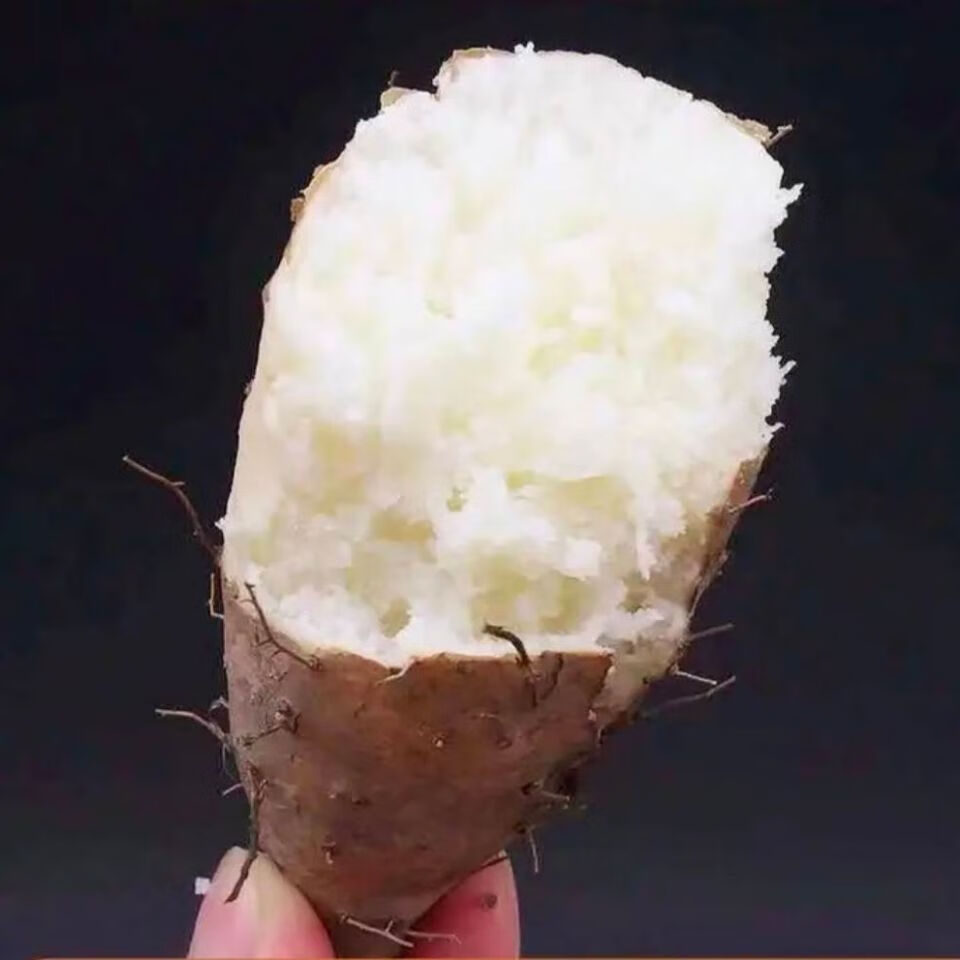 广东毛薯农家新鲜猪仔薯甜薯火苕薯粉糯香山药脚板薯土薯山薯5斤装