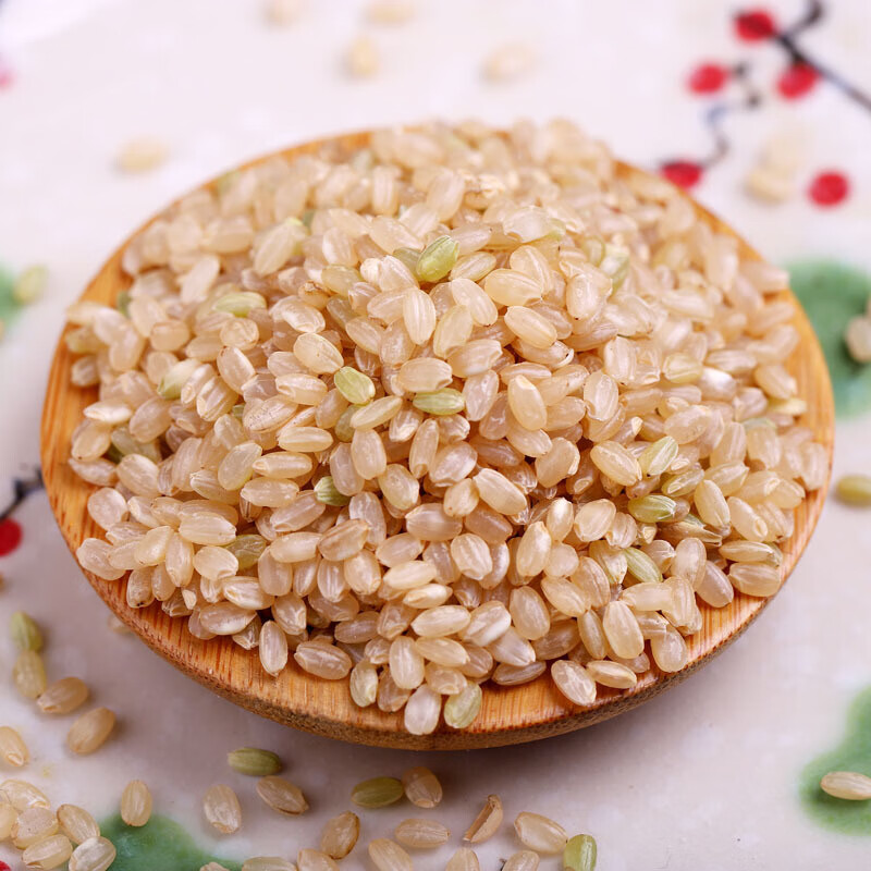 糙米粗粮主食富硒大米胚芽米农家自种新杂粮米 五谷杂粮饭5斤