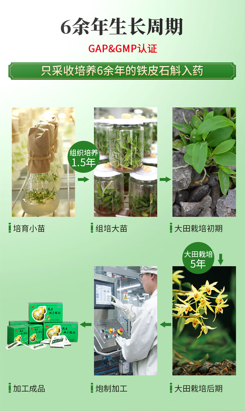 立钻铁皮枫斗颗粒3g12袋20盒立钻铁皮枫斗含片12片10小盒礼盒装送礼