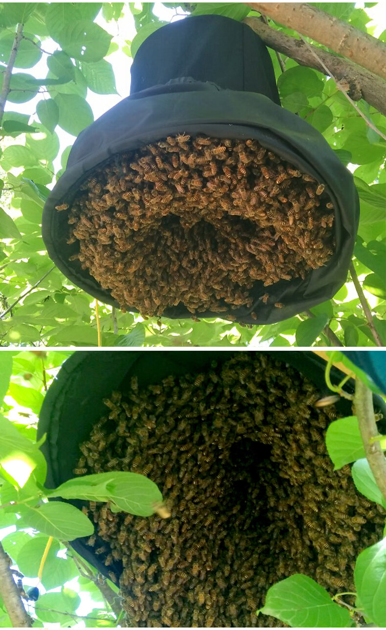蜜蜂收蜂笼装蜜蜂收蜂袋野外诱蜂招蜂笼子捕蜂笼蜂具全套带诱蜂蜡经典