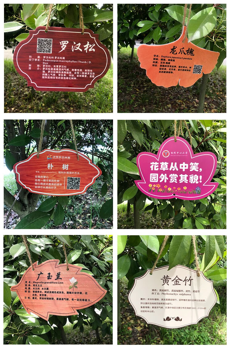 亚克力花草悬挂树牌定制植物标识牌绿化树木介绍挂牌园林指示牌15cmx