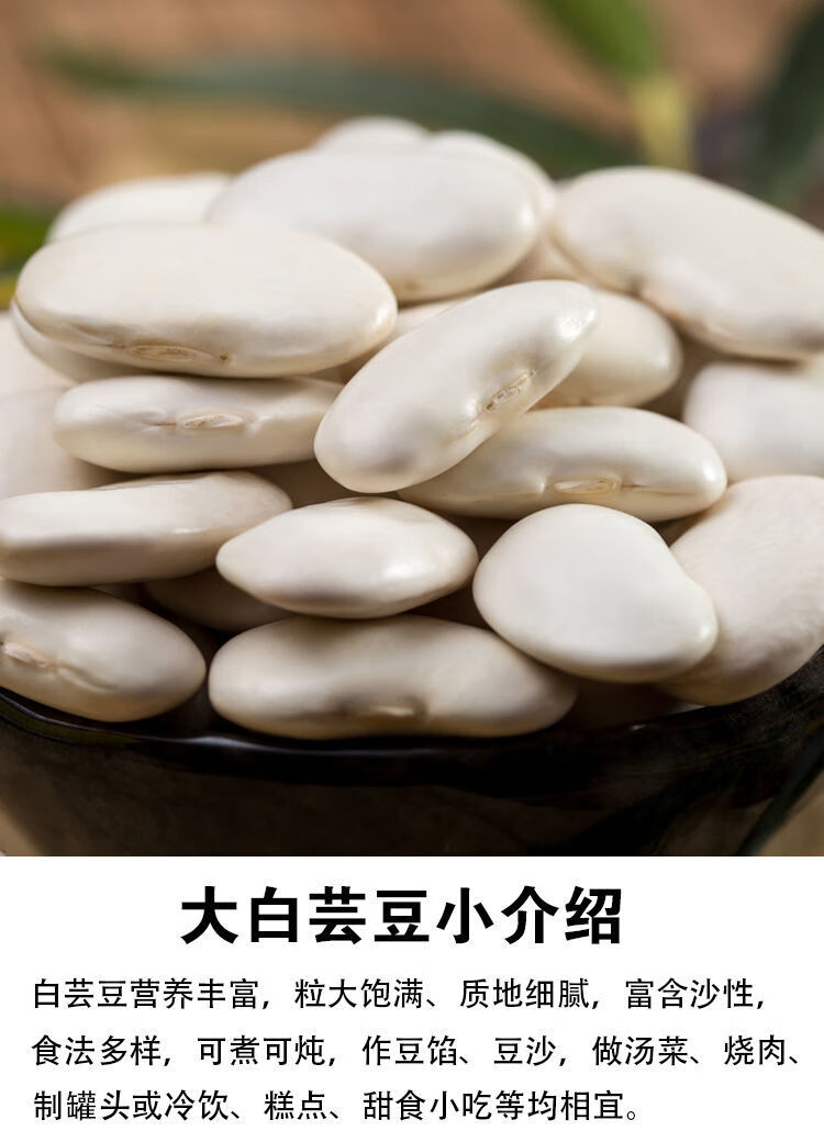 新货大理白芸豆云南特产大白芸豆农自种大豆白云豆五谷杂粮豆类白芸豆