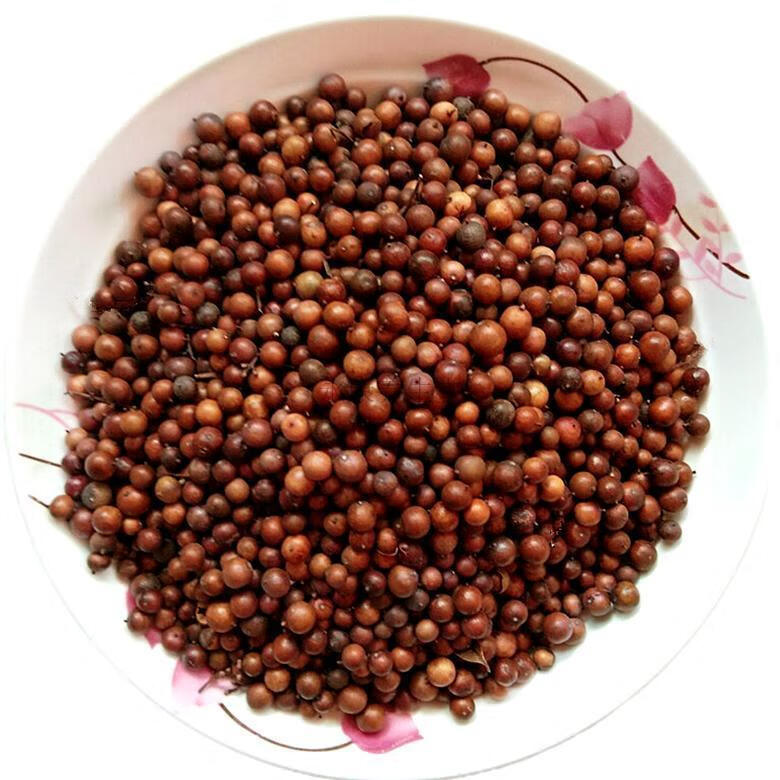 伟博中药材 天竺子 南天竹子 天烛子 南天竺子精选优质 500克【图片