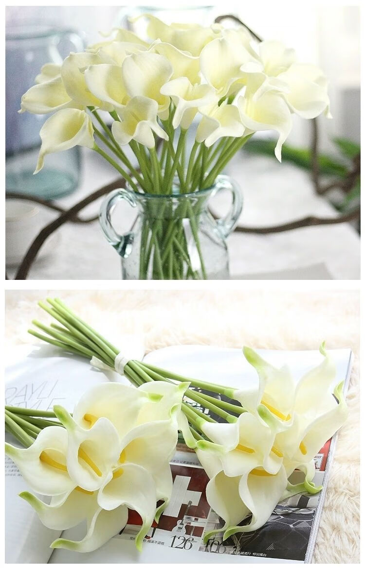 白色马蹄莲40厘米 10枝国产 白色马蹄莲60厘米左右10枝国产【图片