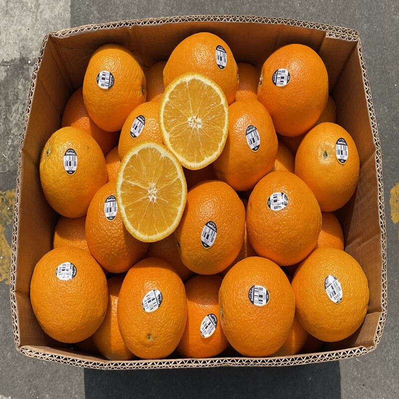新货美国新奇士黑标3107脐橙甜橙子新鲜水果应季农产品当季同城 75mm