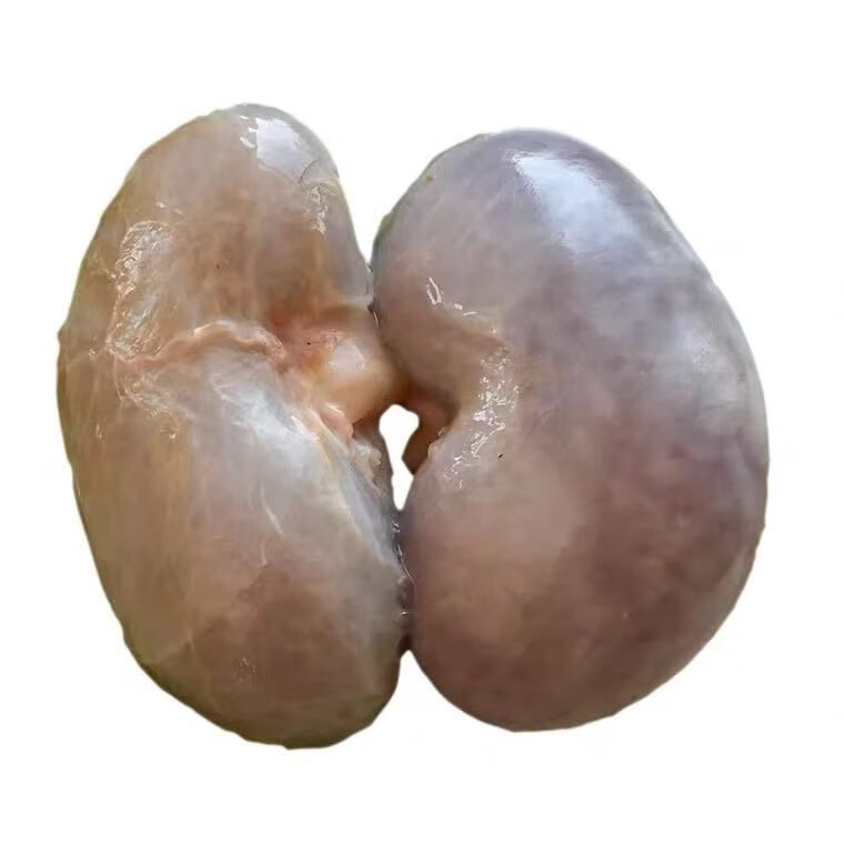 伟博鲜鹿肾吉林梅花鹿鹿肾鹿腰子鹿茸鹿鞭鹿心鲜鹿肉泡酒料新鲜一对