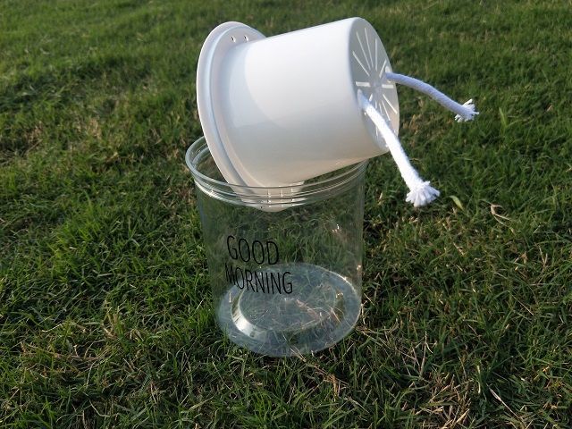 桌面盆栽自动吸水懒人花盆早安盆水培免浇灌可栽绿植多肉透明塑料蓝色