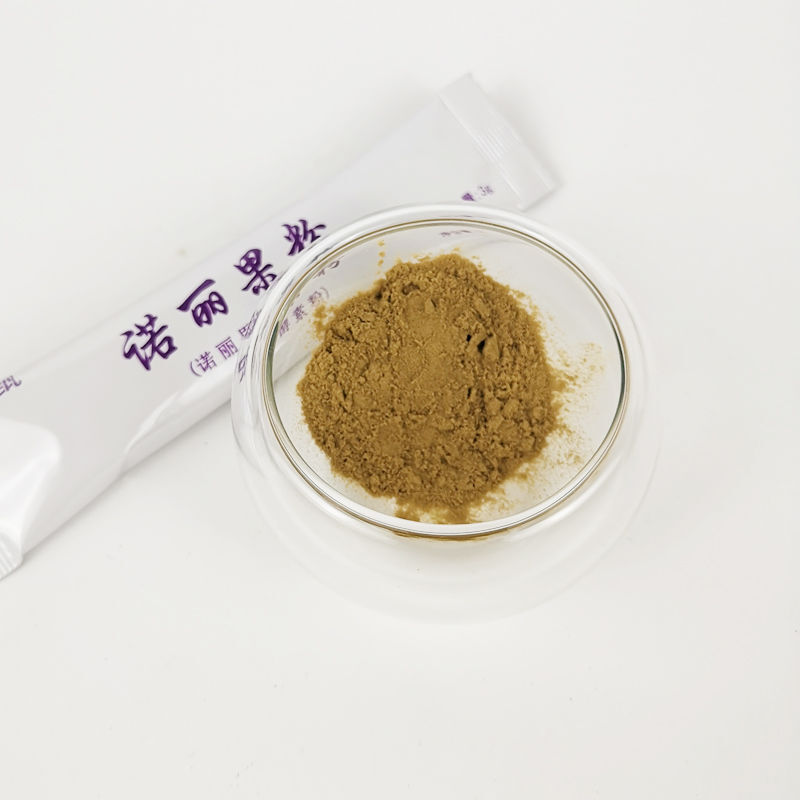 言甄诺丽果粉水果孝素粉诺丽酵素粉诺丽果酵素提取粉3g40支盒3g40支盒