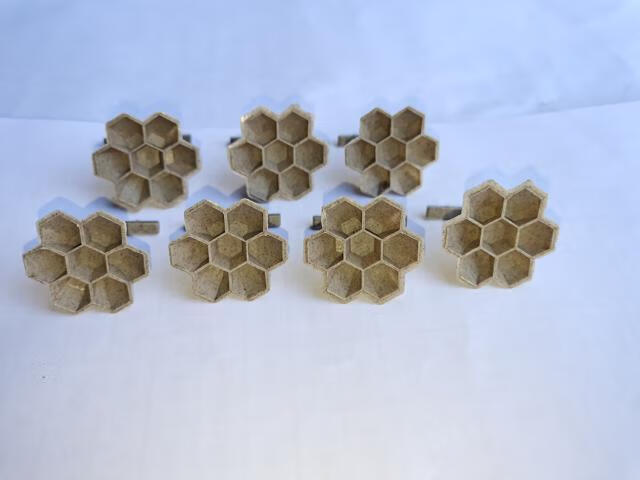 伟博胡蜂3d蜂巢人工蜂巢模压红娘金环虎头蜂王黄脚葫芦黑盾马蜂塑木巢