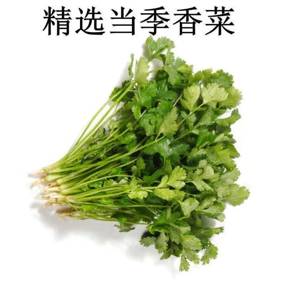 山東農家香菜乾風乾蔬菜包煮麵廚房提味調味菜脫水香菜葉香菜碎100克