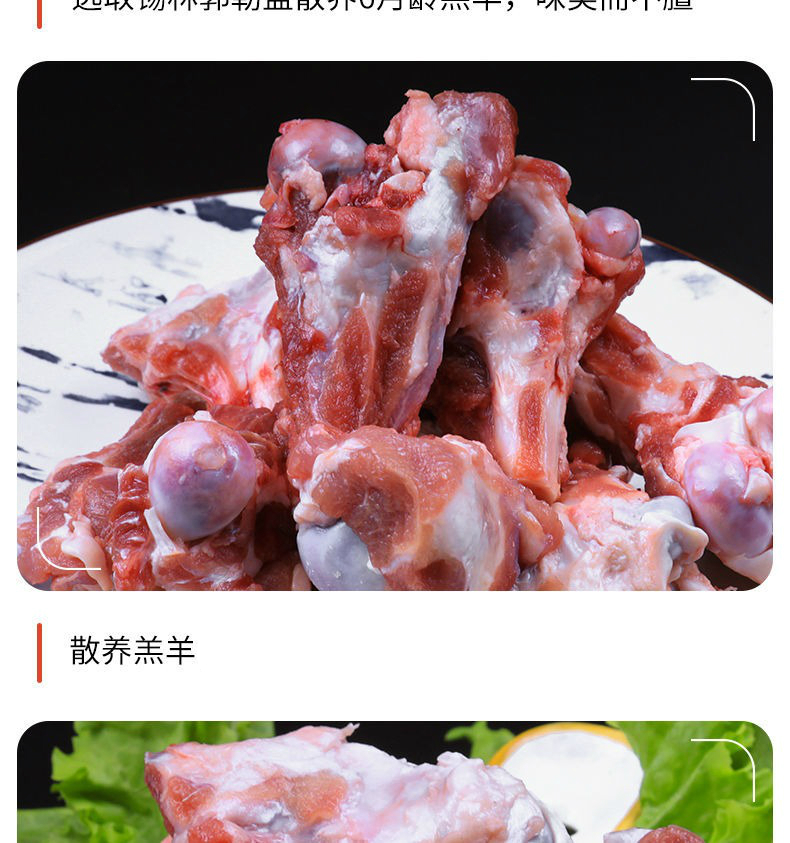 内蒙古羊棒骨羊骨头羊脊骨生羊肉羔羊羊筒骨24斤冷冻羊棒骨2斤羊蝎子2