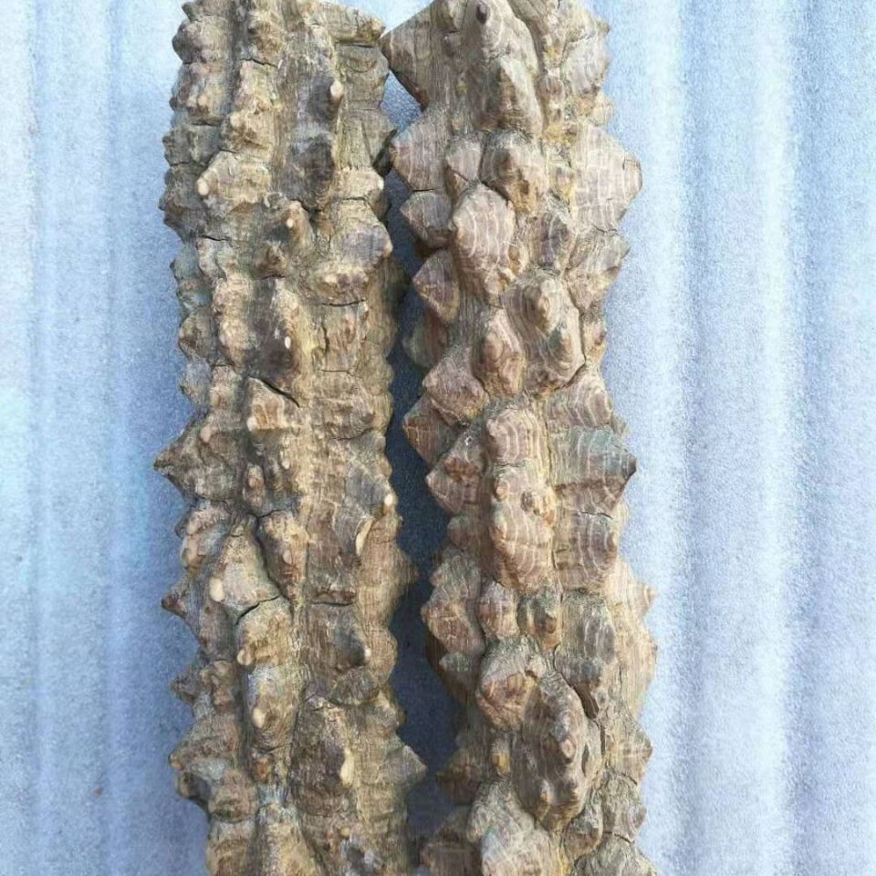 花椒木把玩手把件天然野生花椒木手棍手把玩挂件手搓按摩木手棒直径46