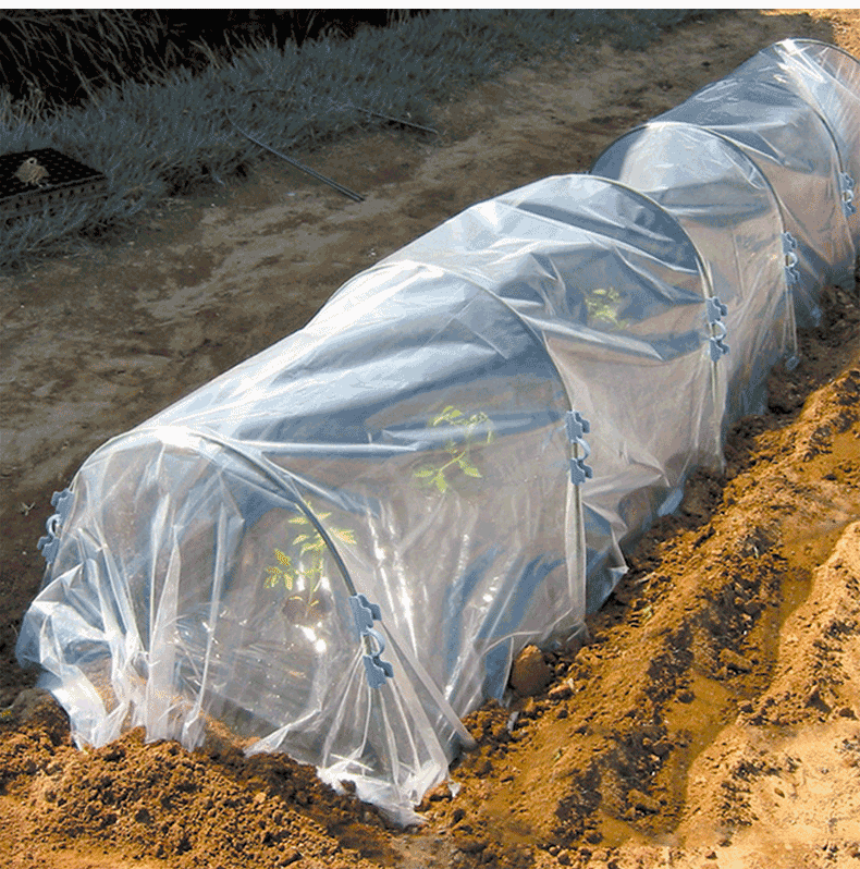 大棚塑料膜加厚保温棚植物防寒蔬菜防冻防雨种菜菜园厚塑料布 薄膜 宽
