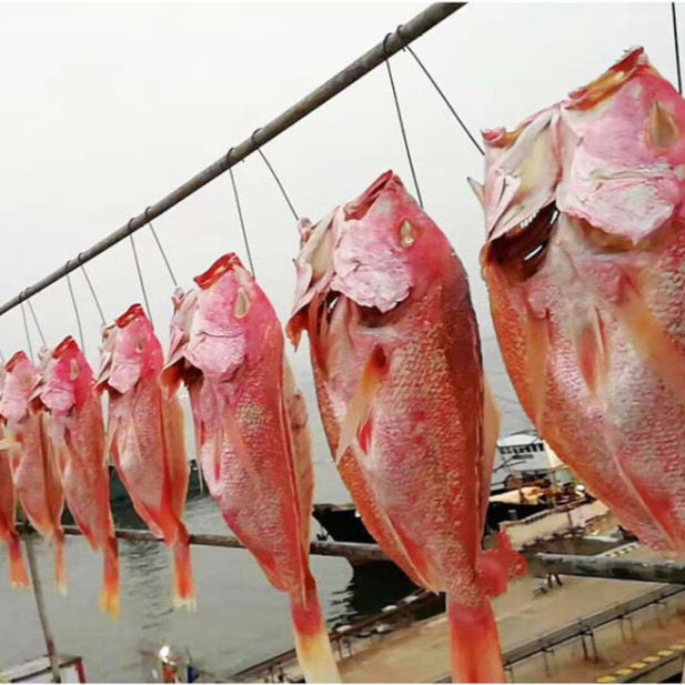 海南特产咸鱼深海大红鱼干天然自晒鳗鱼干货送礼海鲜干货松鱼干2斤条