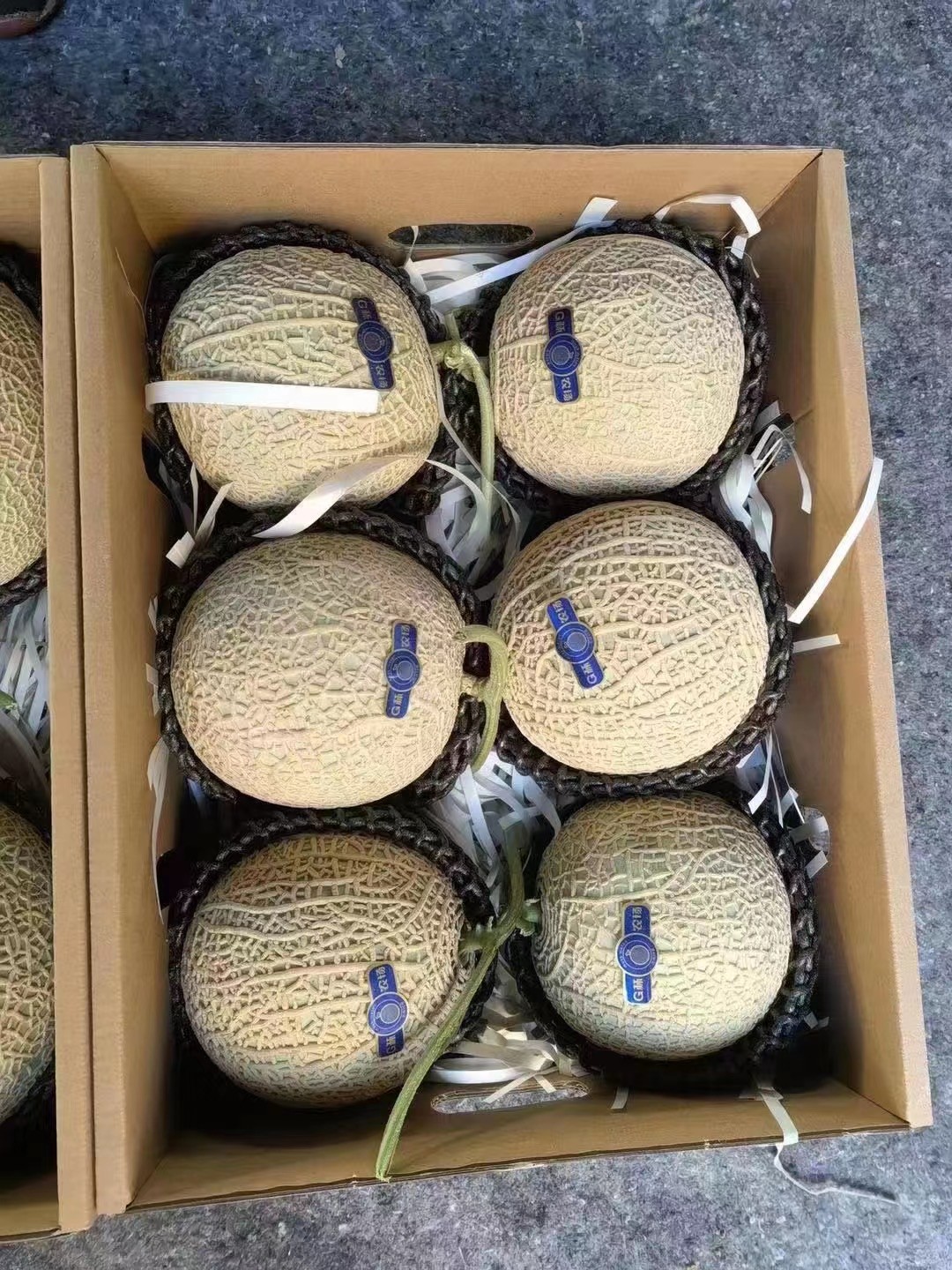 jd物流日本品种静冈网纹蜜瓜新鲜哈蜜瓜国内种植新品可口蜜4个礼盒装