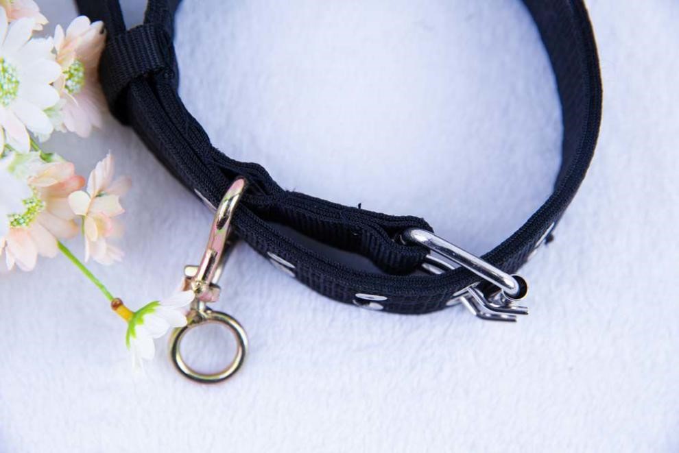 狗套 脖子大狗脖套大狗项圈金毛狼狗藏獒狗狗项圈大狗专用四层加厚