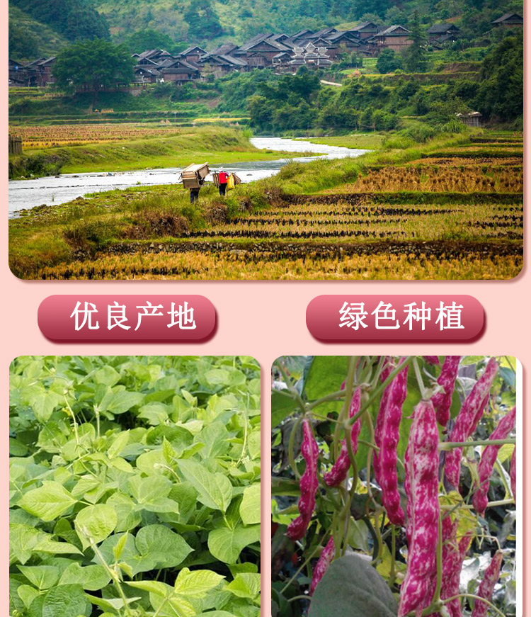 新鲜花豆干货贵州特产雀蛋豆豆子2斤农家自种干豆米新豆四季豆 新豆