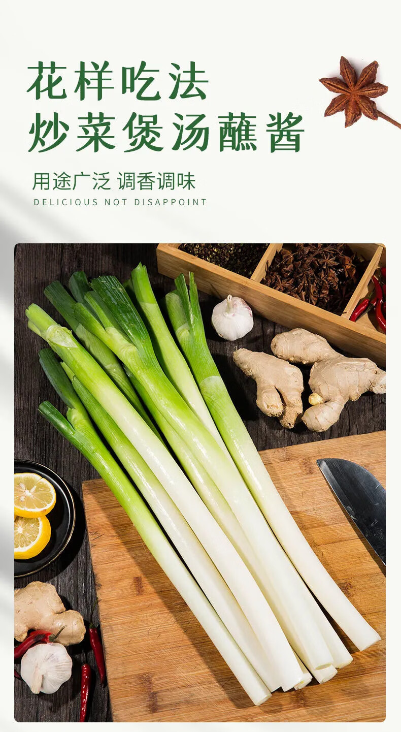 星派果章丘大葱葱王山东章丘大葱精品长葱白脆甜多汁生吃新鲜8斤装