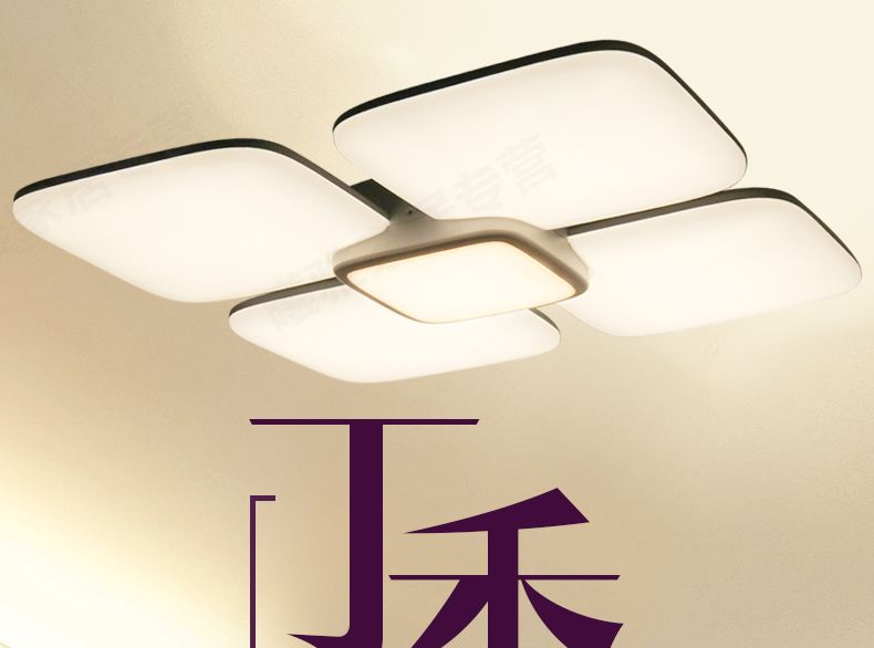 led遥控客厅灯吸顶灯可调光丁香照明灯具简约现代客厅 带遥控le带 