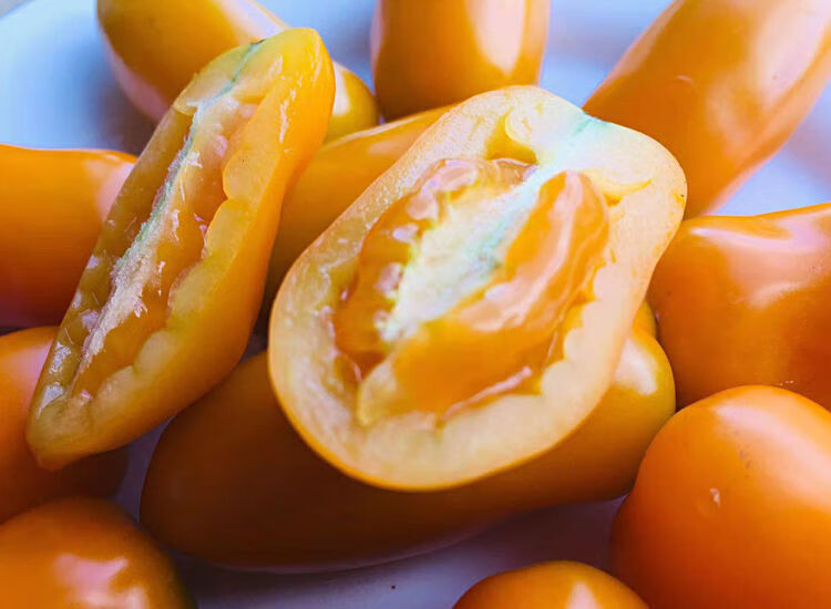 新鲜红黄花生柿子409小柿子圣女果牛奶草莓菇娘小番茄孕妇水果 500g