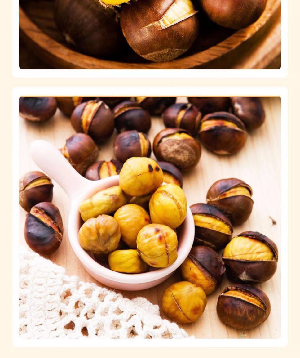 丹东板栗果农新鲜采摘板栗特大个野生甜糯板栗锥子栗