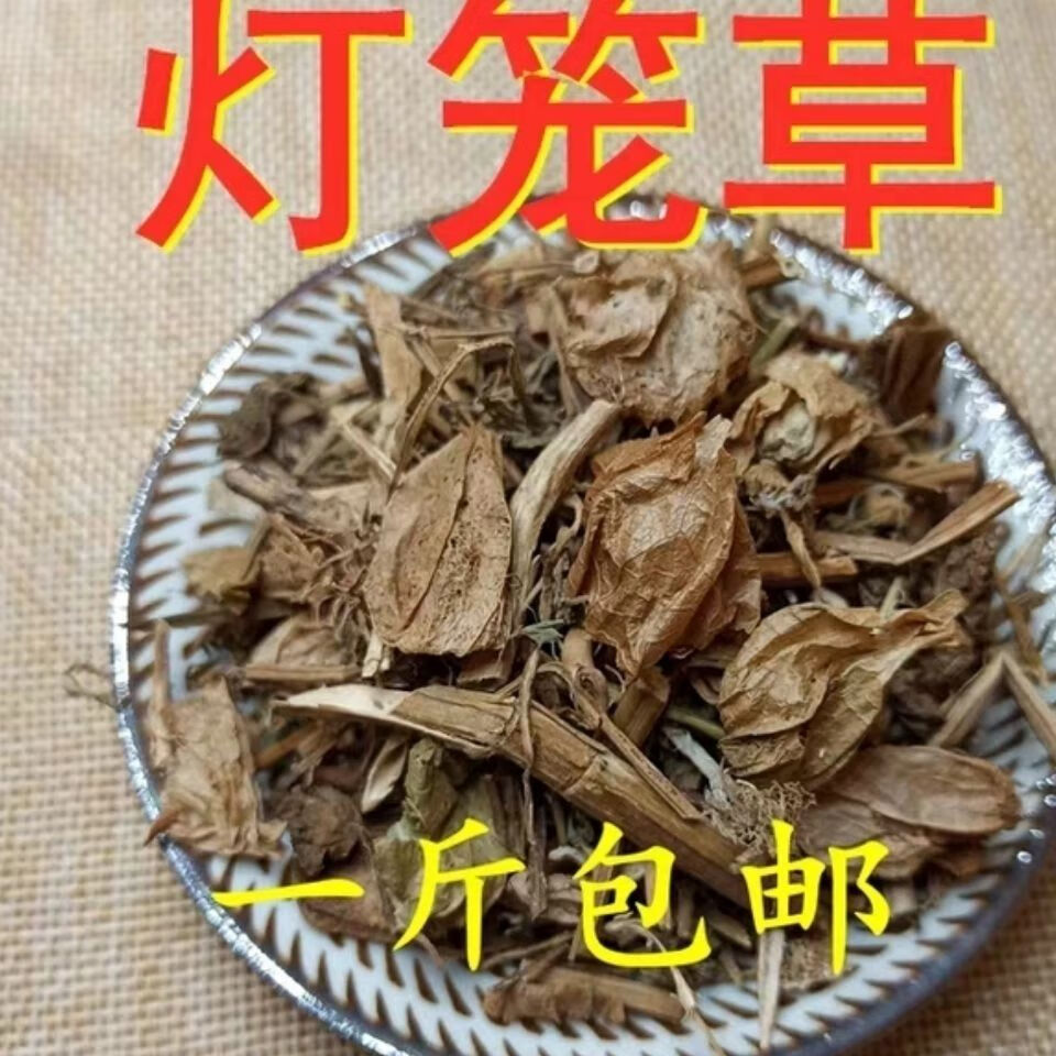 偉博燈籠草中藥材500克 中草藥燈籠草 天泡草 黃燈籠 黃姑娘 500g