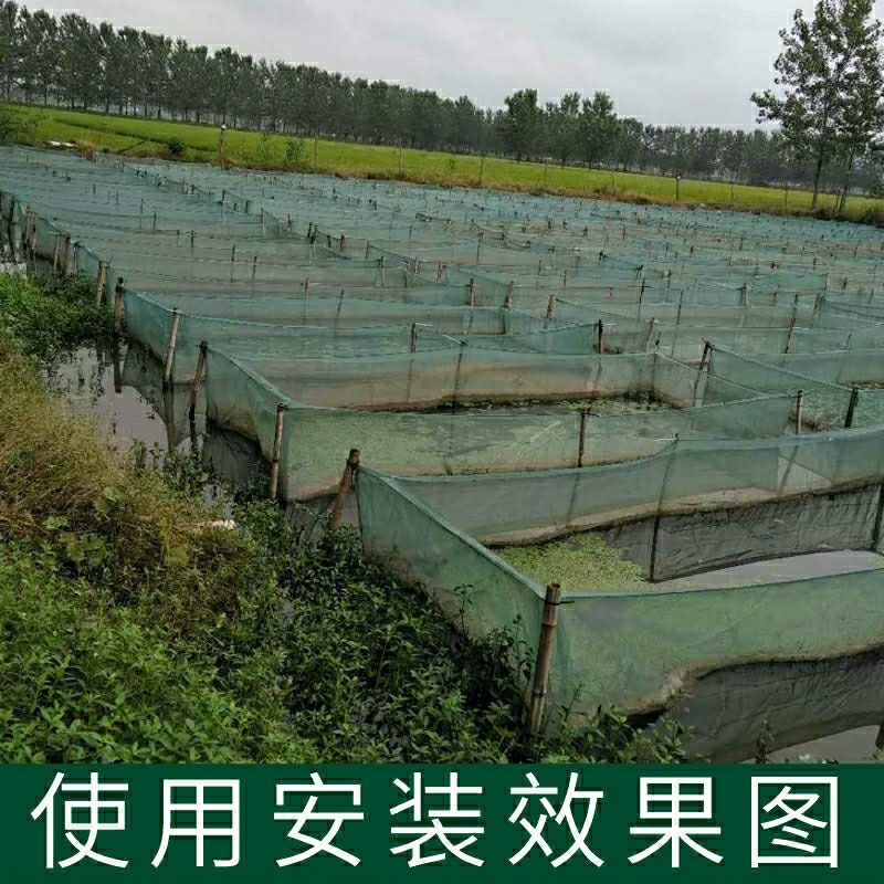 網箱養魚存魚加厚水產養殖網箱漁網孵化育苗網泥鰍黃鱔網箱防逃網加厚