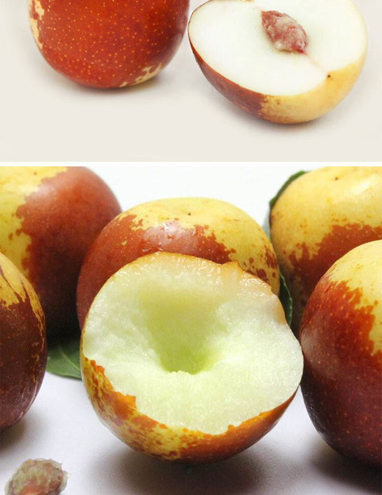 雪域恩泽 正宗山东新鲜枣子5斤冰糖脆枣特大果王礼盒装顺丰 3斤 现摘