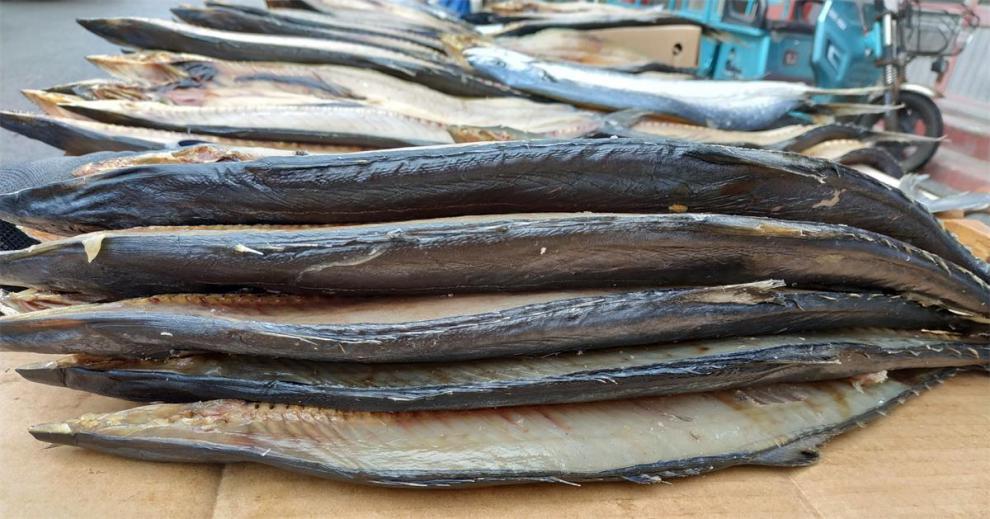 5折 青岛特产一卤鲜甜晒鲅鱼淡晒马鲛鱼鲅鱼干甜晒微盐干货水产 #20