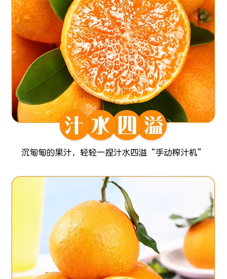 爱媛（定制改）_10.jpg