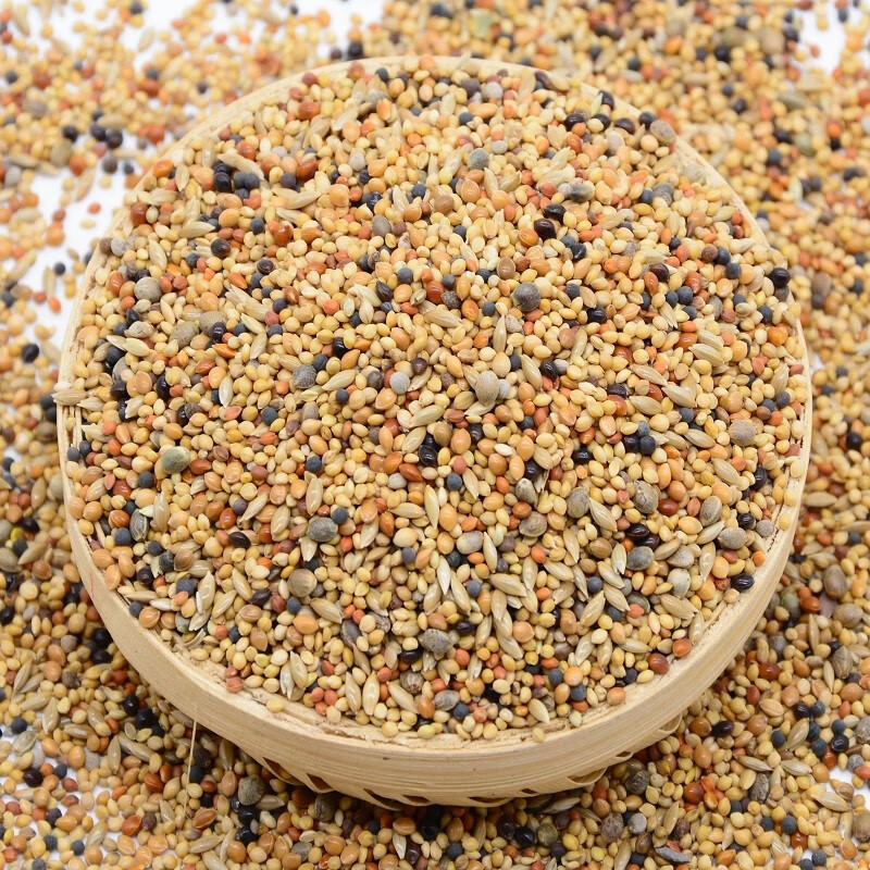 祥子宠物 鸟食虎皮玄凤鹦鹉饲料八哥鸽子粮画眉五色黍子谷子带壳鹌鹑