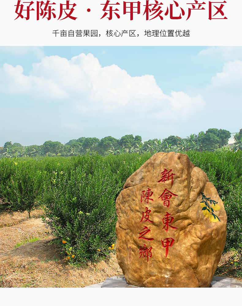 仟福泰 正宗新会老陈皮泡茶东甲核心产区陈皮茶10年15年20年30年广东