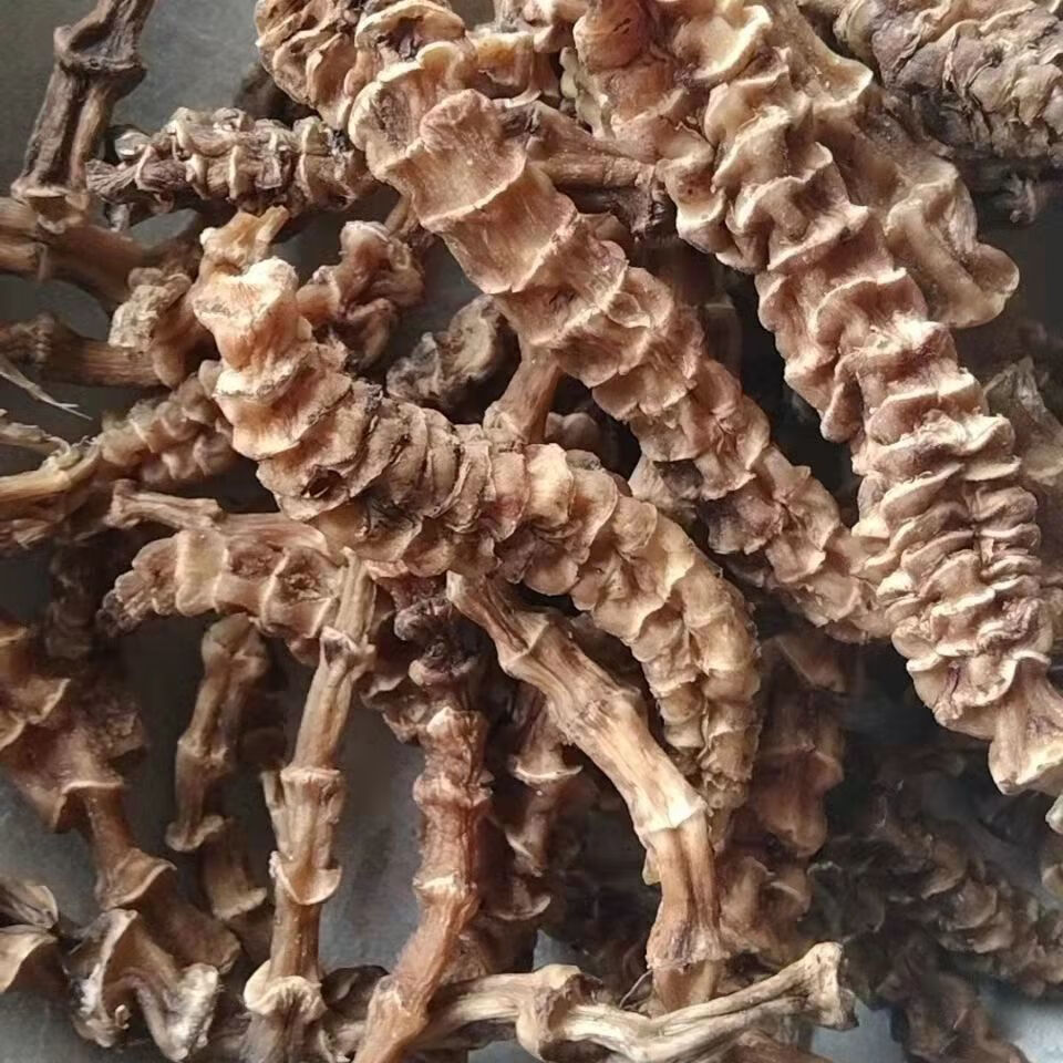 顶天柱 阳鞭劲:云南苗家腾冲特产野生中草药泡酒料中药材药酒料 野生