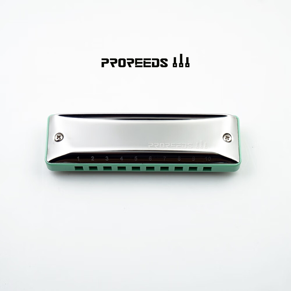 proreeds十孔布鲁斯蓝调儿童初学10孔口琴m pr oogieman low-f(圆孔