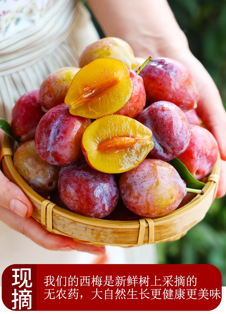 【京鲜到家】 新疆伽师新梅 法兰西西梅 一级大果 单果18g  糖度20