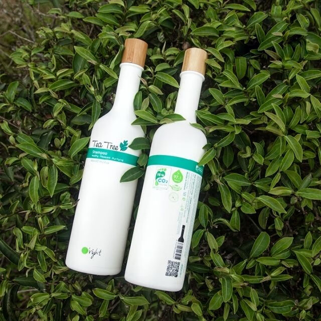 欧莱德洗发水台湾欧莱德树洗发水1000ml 去屑止痒养护头皮清新舒爽 树