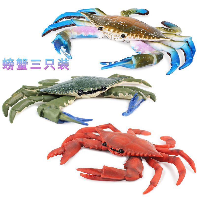 蜘蛛蟹 仿真海洋动物模型儿童玩具塑胶螃蟹玩具寄居蟹梭子蟹莎莉蟹