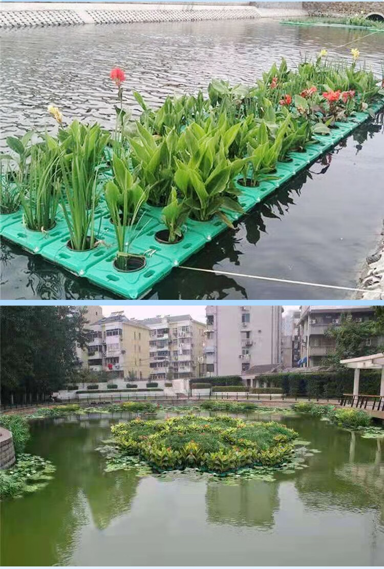 可狄 生态浮岛生物浮床水上植物种植水面绿化水上人工浮岛浮床生态